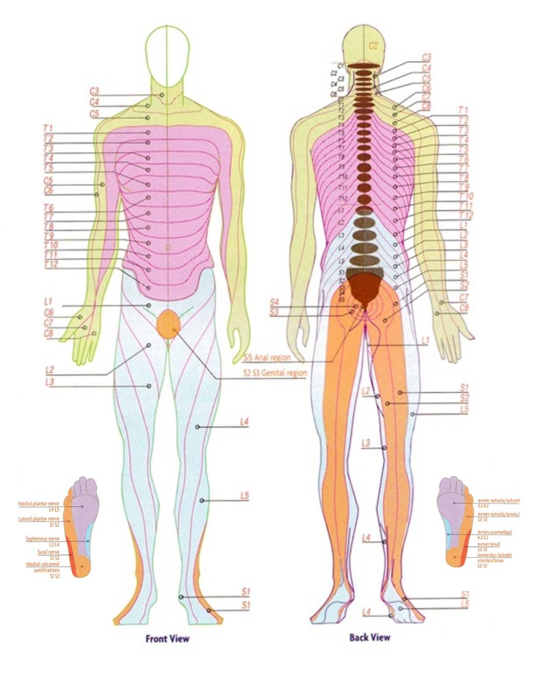 Niirahhs Foot Reflexology coimbatore
